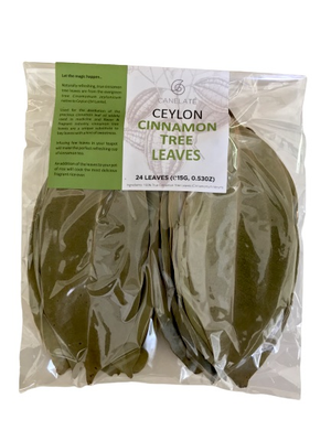 Ceylon Cinnamon Tree Leaves 24Nos (Bayleaf alternate)